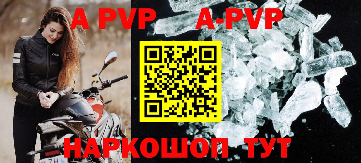 Alfa_PVP СК  А ПВП СК КРИС  Советск  Вход с VPN 