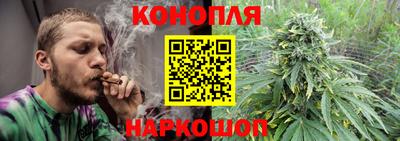 гидропоника Пушкино