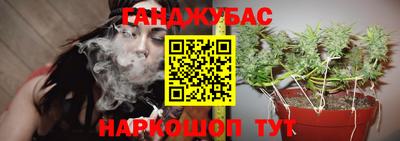 шишки Пыть-Ях